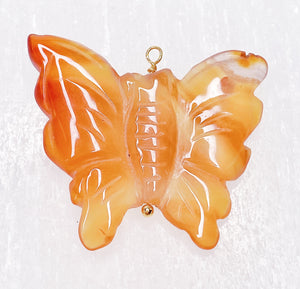 Carnelian Butterfly